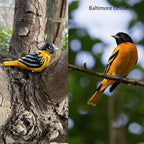 Hand Carved Bird Figurines, Hand-painted Sculpted Wooden Birds, Wood Bird Sculptures for Home Decoration, Hand Crafted Life Like Bird Statues, Ideal Gifts for Bird Lovers (Baltimore Oriole)