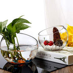 WGVI Clear Slant Cut Bowl Glass Vase, Glass Terrarium, Candy Dish, Glassware, Slant Open: 7". Height: 6" x 2.7". Base: 4" (1 Piece) - size: Slant Bowl 6"H