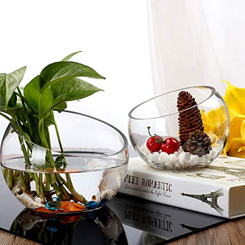 WGV Slant Cut Bowl Glass Vase, Width 9", Height 8.25", Clear Terrarium, Candy Dish, Fruit Jar, Floral Container for Wedding Party Event, Home Office Decor, 1 Piece - size: Slant Bowl 8"H