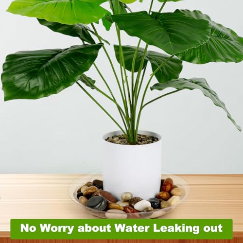 15 Pack Assorted Sizes 6 8 10 Inch Clear Thick Plastic Heavy Duty Sturdy Plant Saucer Drip Trays for pots, 5 Pieces of Each Size (Assorted Sizes 6'', 8'', 10'') - size: 6+8+10 INCH
