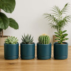 D'vine Dev Set of 4 Small Ceramic Plant Pots, 3.5 Inch Succulent Planter Pot for Plants with Drainage Hole and Saucer, Teal, 94-X-A-9 - color: Teal, size: 3.5 Inch