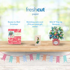 Freshcut Paper Pop Up Cards, Mini Hummingbird Oasis, 6 Inch Life Sized Forever Flower Bouquet 3D Popup Greeting Card, Birthday Cards, Thank You Card, Blank Notecard & Envelope - color: Hummingbird Oasis, size: Mini