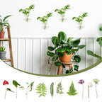 XXXFLOWER Wall Hanging Glass Terrariums，Clear Planters Propagation Station Glass Flower Vase,Air Plant Terrariums for Hydroponic Plants,Home Office Decor,Gifts,Heart-Shaped Set of 4 - size: 4 Love Wall Hanging