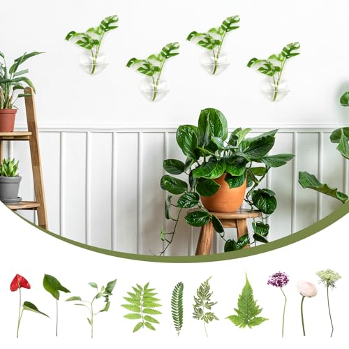 XXXFLOWER Wall Hanging Glass Terrariums，Clear Planters Propagation Station Glass Flower Vase,Air Plant Terrariums for Hydroponic Plants,Home Office Decor,Gifts,Heart-Shaped Set of 4 - size: 4 Love Wall Hanging