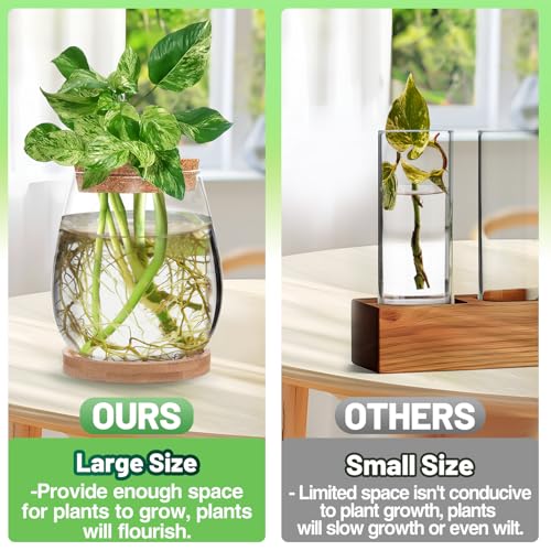 Biggun Plants Propagation Station - 2Pcs Desktop Plant Terrarium Glass Hydroponic Vases, Water Plant Jars, Gardening Gifts for Women Mom Plant Lovers (Water Drop Shape, Separated Tray Style)