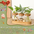 3Pcs Propagation Stations, Plant Terrarium with Lid and Wooden Stand,Desktop Glass Planter Hydroponics Vase,Home Office Living Room Decor Gifts - size: 8.7"L x 3.5"W x 4.7"H