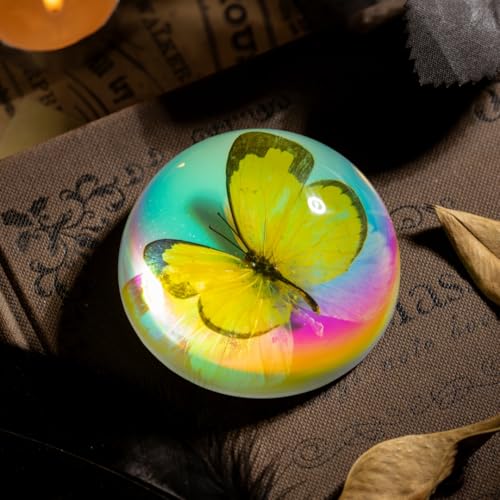 Real Butterfly Specimen in Iridescent Dome Resin - Random Seasonal Butterfly for Science Education, Biology Study, Oddities Collectors, and Nature Enthusiasts (2.5 x 1.3 Inches) - color: Butterfly Specimen (2.5" X 1.3")