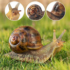 Garden Snail Sculpture, Reptile Resin Sculpture, Suitable for Outdoor Courtyard Pond Garden Lawn Decor Landscape, is The for Garden Enthusiasts (4 inches) - size: 4inch