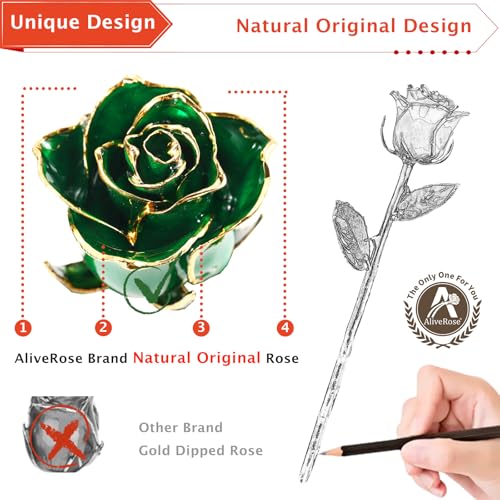 AliveRose 24k Gold Dipped Rose, Gold Rose Made from Real Rose - Unique Design 24K Dipped Rose for Anniversary Valentines Mothers Day Birthday Gifts (Green Original with Crystal Vase) - color: 3. Green Original Rose With Crystal Vase