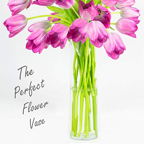 CYS EXCEL Cylinder Clear Glass Vase (H:20" D:6") | Multiple Size Choices Glass Flower Vase Centerpieces | Hurricane Floating Candle Holder Vase - size: H-20" D-6"
