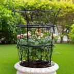 Large Obelisk Trellis Peony Cage 24.6x17 Inches - Premium Metal Plant Support for Outdoor Gardens, Easy Assembly, Sturdy Design, Perfect for Climbing Plants - size: 24.6"x17"