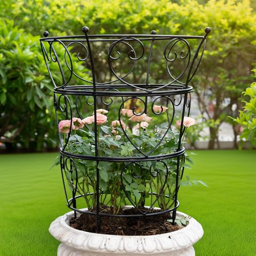 Large Obelisk Trellis Peony Cage 24.6x17 Inches - Premium Metal Plant Support for Outdoor Gardens, Easy Assembly, Sturdy Design, Perfect for Climbing Plants - size: 24.6"x17"