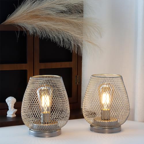 JHY DESIGN Set of 2 Metal Cage LED Lantern Battery Powered Cordless Accent Light with LED Great for Weddings Parties Patio Events for Indoors Outdoors(Silver) - style: Set of two Silver egg