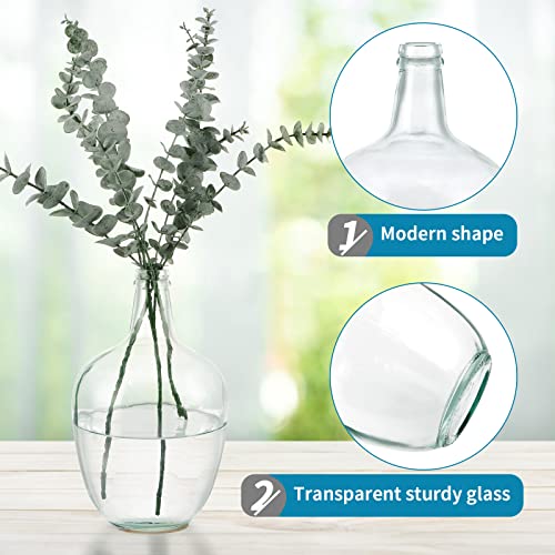 MDLUU Glass Jug Vase 10" Tall, Clear Flower Vase, Decorative Bottle Vase for Dining Room, Bedroom, Bathroom, Mantel - style: without twine rope