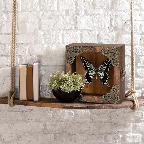 Taxidermy Butterfly Shadow Box Picture Frame - Real Butterfly Framed Meticulously Handcrafted, Butterfly in Frame for Gothic Room Decor (Citrus Swallowtail Butterfly (Family Papilionidae)) - color: Citrus Swallowtail Butterfly (Family Papilionidae)