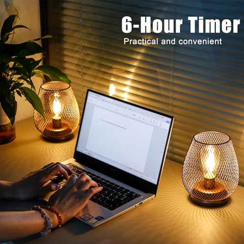 JHY DESIGN Set of 2 Metal Cage LED Lantern Battery Powered Cordless Accent Light with LED and 6-Hours Timer Great for Weddings Parties Patio Events for Indoors Outdoors - style: Set of 2 6-Hours Timer