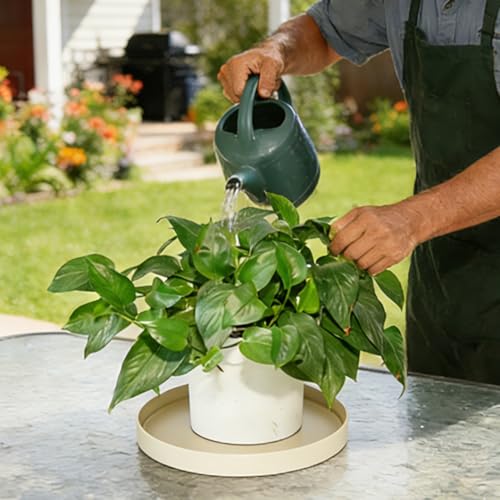 1 Pack 10 inch Plant Saucer Drip Tray, Heavy Sturdy Plastic Planter Flower Pot Drainage Tray Plate Saucers for Indoor Outdoor Garden, Plant Water Drip Trays for pots Base (10", Beige) - color: Beige, size: 10" - 1Pcs
