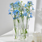 8PCS Test Tube Vases Decorative Glass Flower Vase Hinged Flower Vases Planter Flower Arranging Container Hydroponic Flower Holder Decor with 15PCS Hooks and 2PCS Brushes (VASES- A)