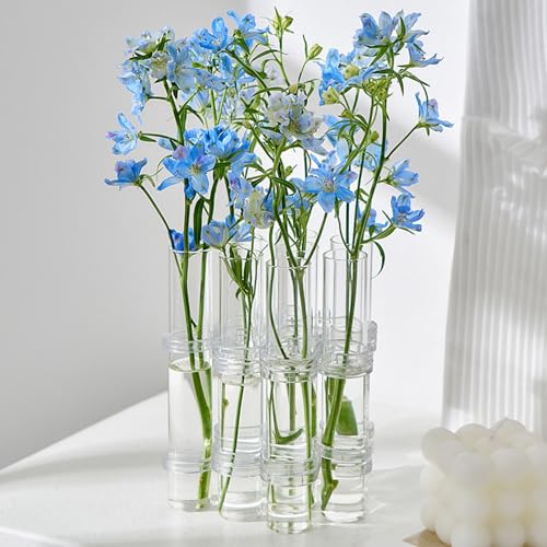8PCS Test Tube Vases Decorative Glass Flower Vase Hinged Flower Vases Planter Flower Arranging Container Hydroponic Flower Holder Decor with 15PCS Hooks and 2PCS Brushes (VASES- A)