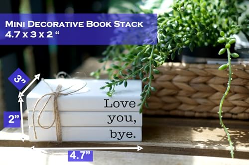Cute Love You Bye Mini Wooden Faux Books, Express Love and Warm Family Sign for Office Front Door Bathroom Hallway Entryway Shelf Table Corner Decoration - color: Love You Bye