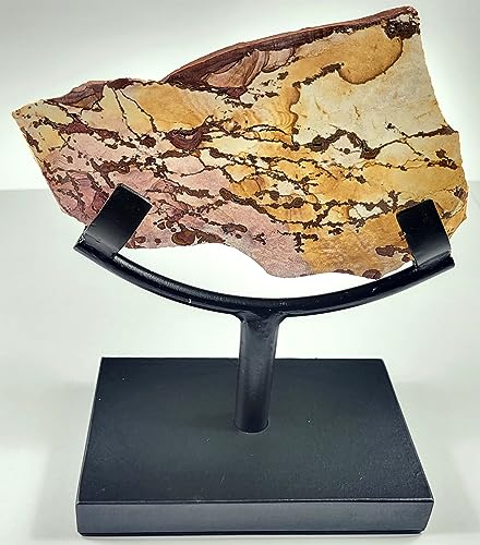 6.2" Display Stand for Slab/Slice/Fossil/Flat Minerals Base for Rocks Minerals and Crystals Black One Arm Two Prong Holder
