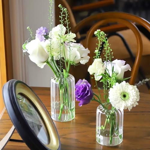 24Pcs Glass Cylinder Vases, Clear Ribbed Bud Vases for Centerpieces Weeding Decoration, Tall Clear Flower Vases in Bulk for Table Shelf, Party(Ribbed)