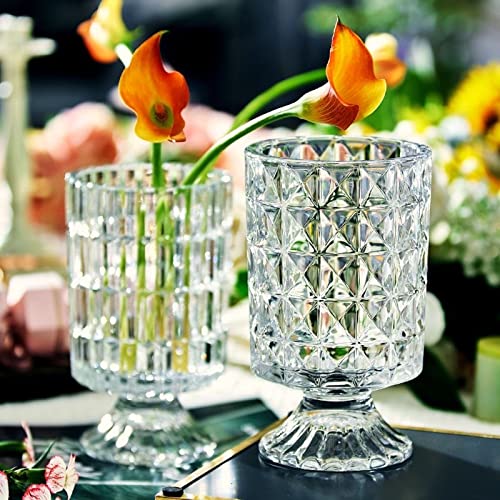 BLOFLO Embossed Glass Vase, 7'' Crystal Glass Vases for Flowers, Pedestal Big Base Glass Bouquet Vase, Hydroponic Glass Transparent Vase for Home Office Wedding Dining Table Party - color: Diamond Pattern