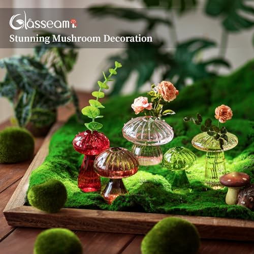Glasseam Glass Plant Propagation Stations: Set of 5 Colored Mushroom Decor Mini Terrarium Small Vase for Flowers - Indoor Windows Hydroponic Holder Plant Lover Gifts - color: Colorful, size: 5