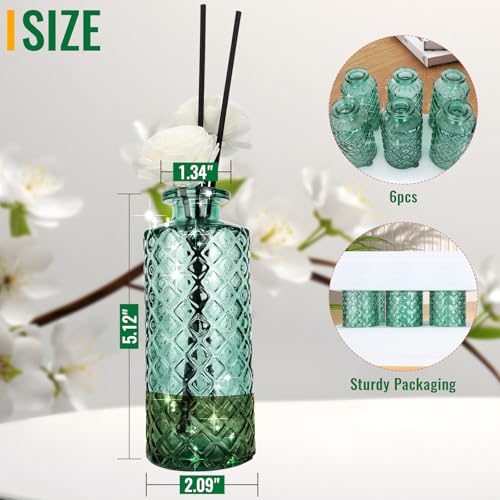 Glass Bud Vase, Green, Small Flower Vase, Set of 6, Simple and Solid, Aromatherapy Bottle, for Lady, Classy Gift for Mother's Day, Birthday, or Wedding, - color: Green