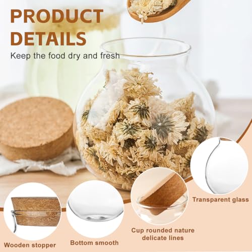 VASANA Airtight Clear Round Glass Jar with Cork Tea Caddy Container Vase Eco Bottle Small Ball Moss DIY Canister for Kitchen Storage Home Decoration 500ml 17oz