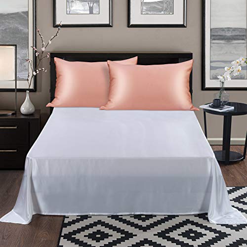 ALASKA BEAR Natural Silk Pillowcase, Hypoallergenic, 19 Momme, 600 Thread Count 100 Percent Mulberry Silk, Queen Size with Hidden Zipper (1, Dusty Pink) - color: Dusty Pink, size: Queen 20''x30''