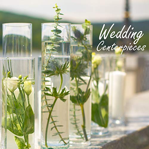 CYS EXCEL Cylinder Clear (H:32" D:6") | Multiple Size Choices Glass Flower Centerpieces | Hurricane Floating Candle Holder Vase, H-32 (GCY122/32) - size: H-32" D-6"