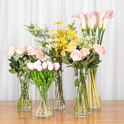 WGV Cylinder Vase, Diameter 5", Height 16", Clear Glass Floral Planter Container, Tall Centerpiece Arrangement for Wedding Party Event Home Office Decor, 1 Piece - size: 5"x16"H CL