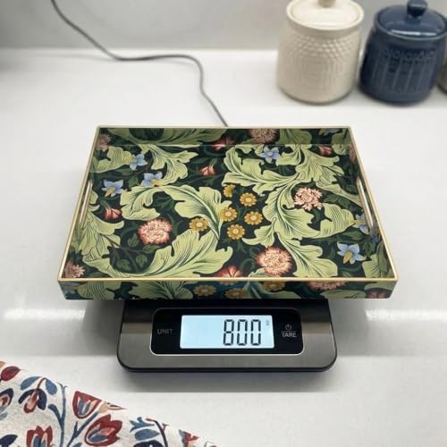 15.8" x 11.8" Dark Green Plastic Serving Tray with Handles, Vintage Acanthus Leaf & Flower Pattern with Gold Trim, for Ottoman, Coffee Table, Vanity - color: Vintage Acanthus Leaf & Flower Pattern