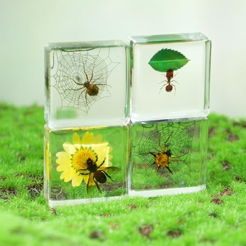 4Pcs Insect Taxidermy in Resin Specimen Set - Bugs in Clear Block for Oddities Collection, Home Decor & Unique Gift (1.5x1.5 inch) - color: 4pcs Insect (1.5x1.5in)