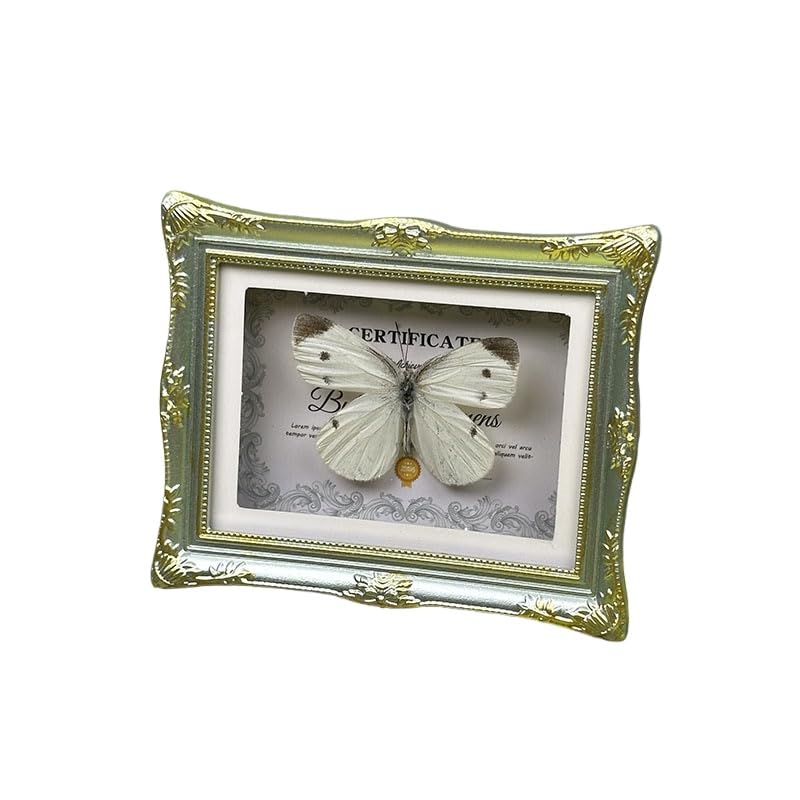 1Pcs Real Butterfly Framed Handmade, Taxidermy Butterfly Shadow Box Collection, Framed Butterfly Taxidermy for Oddities and Curiosities Gifts Tabletop Ornaments (C-Butterfly Specimen+Photo Frame) - color: C-butterfly Specimen+photo Frame