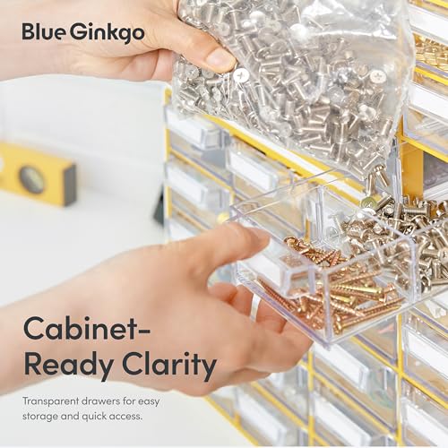Blue Ginkgo Small 20-Drawer Cabinet – Stackable Clear Organizer for Hardware, Beads, Plastic Bricks, Office, and Craft Storage (Made in Korea, Gray) - color: GREY, size: 20 Drawer