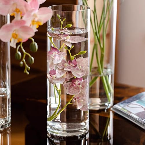 DARENYI Clear Glass Vase for Flowers, 12 inches Tall Cylinder Vase Decorative for Centerpiece, Living Room, Floating Candle, Office, Wedding or Gifts