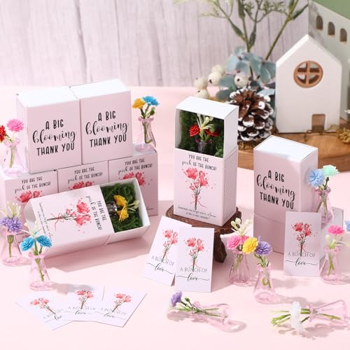 24 Sets Mother's Day Bulk Gifts for Women Teacher Nurse Appreciation Positive Mini Bud Vases with Flower Office Desk Decor Mini Box Breathing Thank You Gifts for Graduation Coworker Staff (Pink) - color: Pink