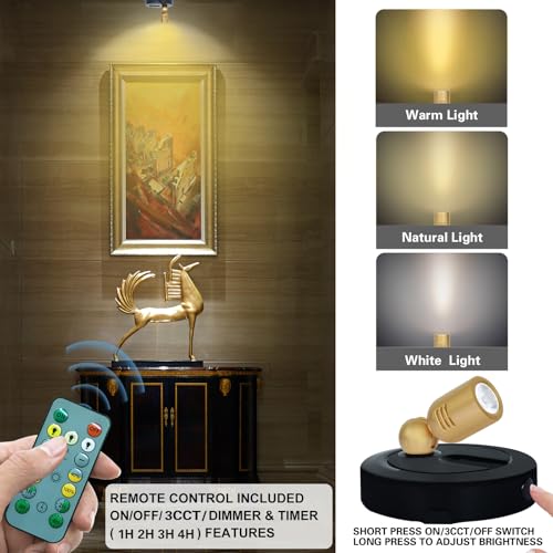 HAMVIDNE Rechargeable LED Spotlight, 3 Lighting Modes Battery Powered Indoor Spotlights with Remote, Uplighting for Trees Plants, Dimmable Timer Picture Spot Light for Wall Artwork-2Pack - color: Rechargeable-Black-G