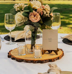 Set of (10) 13-14 inch Wood Slices for centerpieces! Wood Slice centerpieces, Wood Rounds, Tree Slices, Wood Plate Chargers (13-14 inch) - size: Set of 10 Extra Large (13-14")