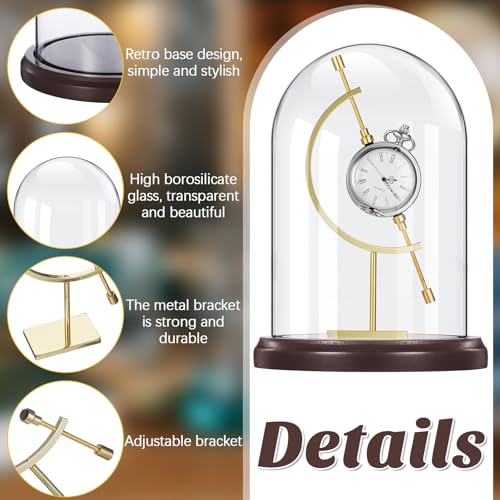 Beeveer 5" x 8" Pocket Watch Glass Display Dome Cloche with Gold Sphere Holder and Wooden Base Pocket Watch Display Case Showcase Bell Terrarium Jar for Ornaments Plants Medals Photos Collectibles