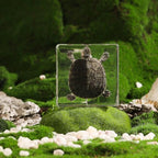 Taxidermy Turtle, Real Turtle Specimens Animal Specimen in Resin for Science Classroom Science Education, Great Gift for Fans of Taxidermy, Animal Skull, Oddities, Biology (3 x 3 x 1 inch) - color: Turtle