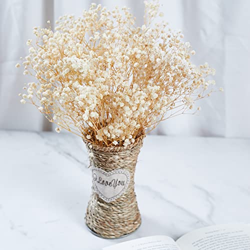 Preserved Baby's Breath 3 Bunches, 100% Natrual Fresh Gypsophila Long Lasting Flowers for Vase Arrangements Home Decoration Photo Props Parties and Weddings, DIY Décor-White - color: White