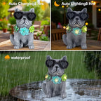 Solar Garden Statues Dog with Succulent and LED Lights Birthday Gifts for Women Mom Grandma Solar Outdoor Decor for Patio Backyard Yard Lawn Decoration-Unique Housewarming Gifts - style: Dog