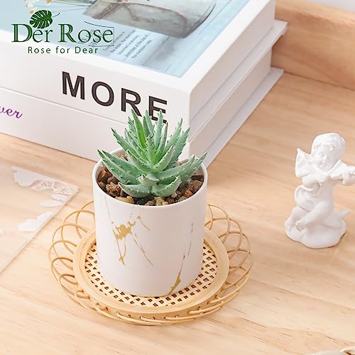 Der Rose Set of 2 Succulents Plants Artificial Mini Fake Succulents Plants for Home Office Desk Accessories for Women - color: 2-green
