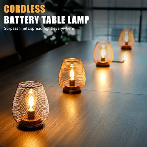 JHY DESIGN Set of 2 Metal Cage LED Lantern Battery Powered Cordless Accent Light with LED and 6-Hours Timer Great for Weddings Parties Patio Events for Indoors Outdoors - style: Set of 2 6-Hours Timer