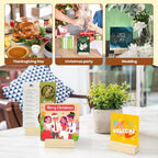60Pcs 2.75x1.38 Inches Wood Table Number Stands Wood Place Card Holders Picture Holder Acrylic Sign Holdersr for Ceremony Birthday Party Home Decoration ﻿ - size: 2.75" 60pcs