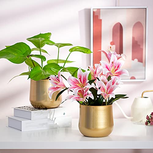 Nuptio 2 Pcs Plant Pot Gold Vase Metal Flower Pot Vase with Drainage Hole, Modern Storage Organizer Decorative Gifts for Wedding Indoor Outdoor Living Room Balcony Decoration Floor Display - color: Style 1#, size: 5.7in Tall-2pcs