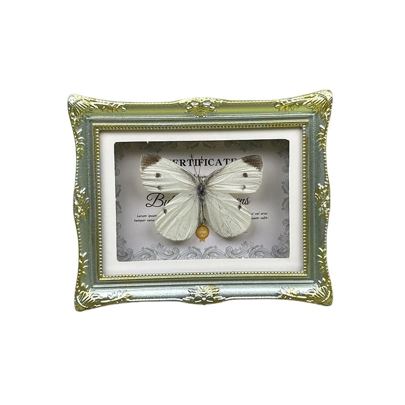 1Pcs Real Butterfly Framed Handmade, Taxidermy Butterfly Shadow Box Collection, Framed Butterfly Taxidermy for Oddities and Curiosities Gifts Tabletop Ornaments (C-Butterfly Specimen+Photo Frame) - color: C-butterfly Specimen+photo Frame